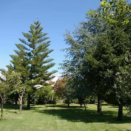 Tatil Evi Vivienda Tradicional Con Jardin Y Patio Interior *