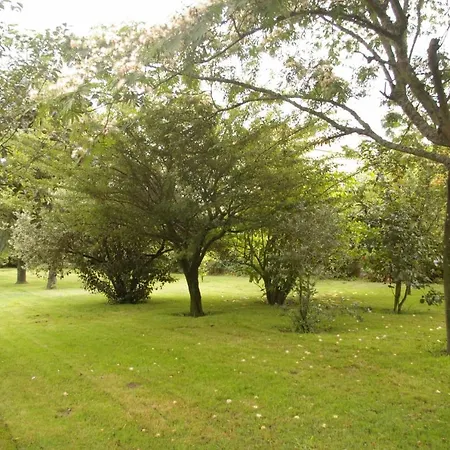 Vivienda Tradicional Con Jardin Y Patio Interior 度假居 *