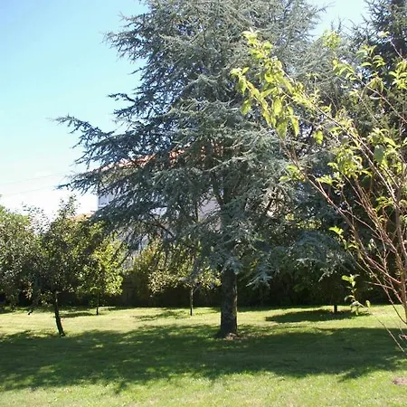 Vivienda Tradicional Con Jardin Y Patio Interior